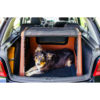 TAMI Spezial Hundebox mit Airbagfunktion für Fließheckautos - aufblasbar