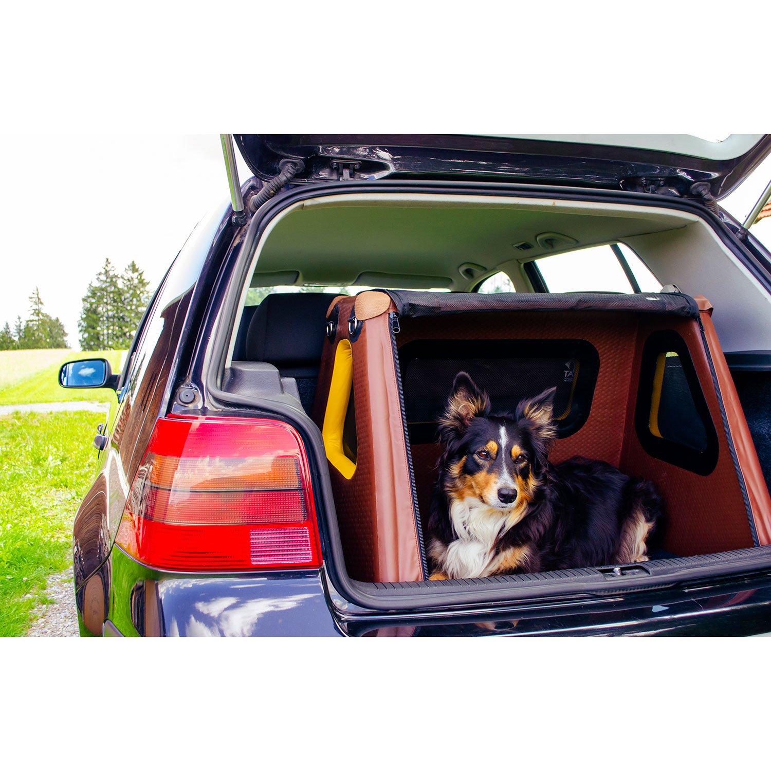 TAMI Spezial Hundebox mit Airbagfunktion für Fließheckautos - aufblasbar -  TAMI Dogbox General Distributor Europe