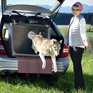 TAMI M - Kofferraum Hundebox mit Airbagfunktion - TAMI Dogbox General  Distributor Europe